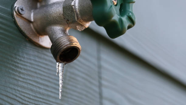 Best Affordable Plumbing Services  in Delavan Lake, WI