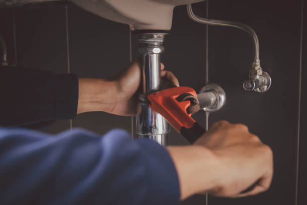Best Plumbing Services Near Me  in Delavan Lake, WI